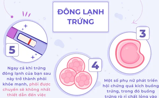 [INFOGRAPHIC] 5 điều cần lưu ý khi đông lạnh trứng