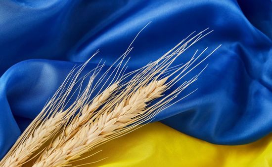 Ukraine chỉ trích EU và Ba Lan về các hạn chế xuất khẩu nông sản