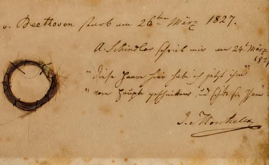 Phân tích DNA "giải mã" loạt bí ẩn về bệnh tình của thiên tài Beethoven