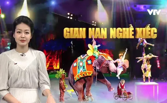 Gian nan nghề xiếc: Hào quang nào cũng phải đánh đổi