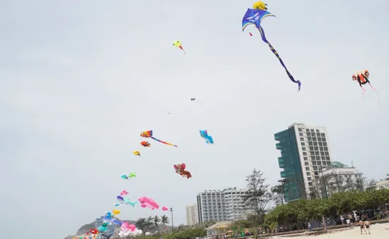 Người dân thích thú ngắm diều Delta khổng lồ trên bãi biển Vũng Tàu