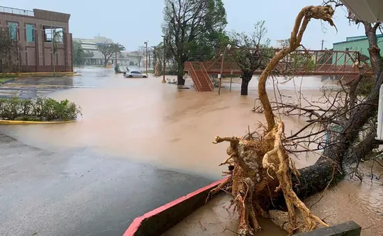 Hàng chục nghìn người ở đảo Guam không có điện, nước sau khi bão Mawar quét qua