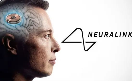 Công ty Neuralink của Elon Musk được phép thử nghiệm cấy chip vào não người