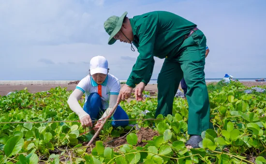 13.000 cây phi lao được trồng tại rừng phòng hộ ven biển Tiền Giang