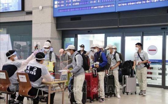 Hàn Quốc gia hạn lưu trú cho lao động thời vụ