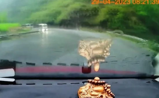 Đường trơn trượt, xe ô tô mất lái, xoay tròn ngay khúc cua