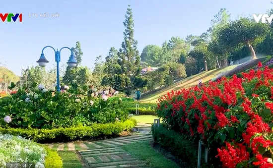 Lan tỏa tình yêu thiên nhiên cùng phim tài liệu "Khu vườn bí mật"