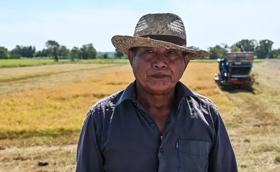 Dự trữ gạo toàn cầu có thể giảm 5% do El Nino