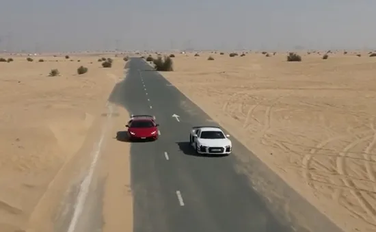 Hàng nghìn tấn cá được nuôi trồng trên sa mạc tại UAE