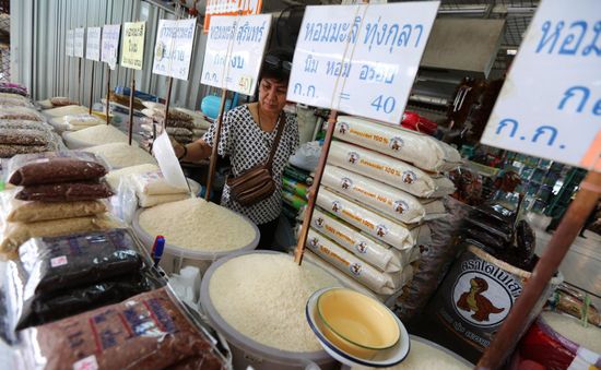 Giá gạo có thể tăng thêm 20%