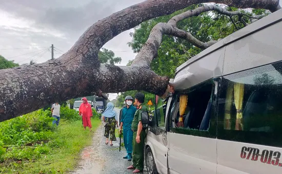 Kiên Giang: Gió lốc làm bật gốc cây đè bẹp ô tô 16 chỗ