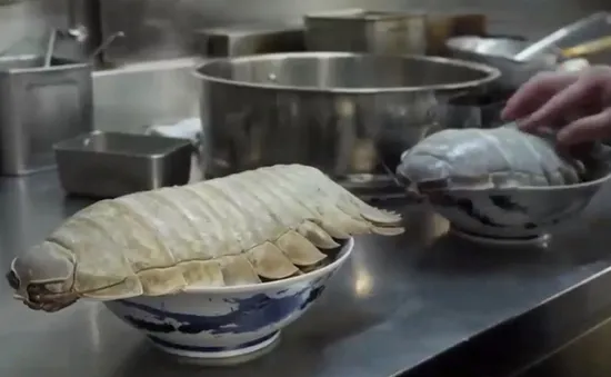 Mì ramen bọ biển khổng lồ: món ăn độc - lạ