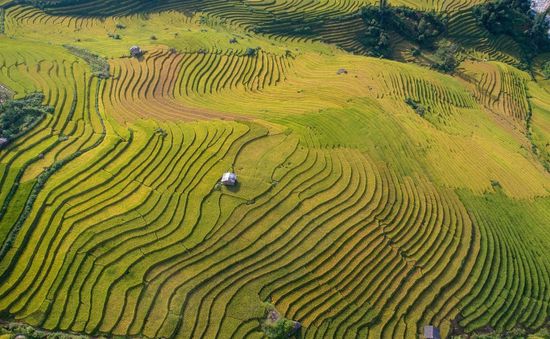 Sapa, Bà Nà, Đà Lạt được báo chí quốc tế vinh danh