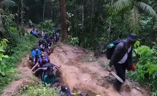 Darien Gap - khu rừng ‘tử thần’ giữa Panama và Colombia