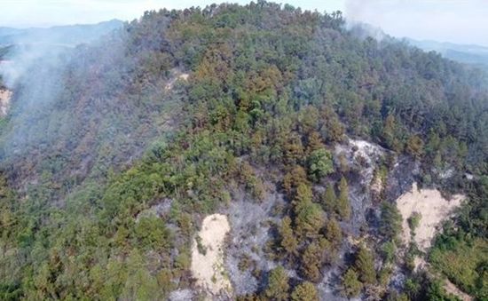 Thừa Thiên – Huế: Khẩn trương khống chế vụ cháy rừng thông