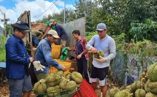 Doanh nghiệp Việt tìm cách chinh phục thị trường Trung Quốc