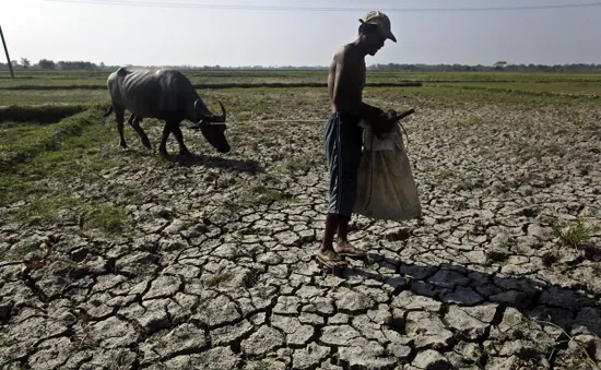 El Nino đe dọa ngành nông nghiệp ASEAN