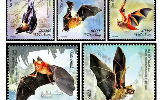Phát hành bộ tem bưu chính về loài dơi