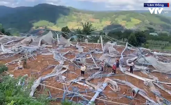 Giữ rừng hay phá rừng?