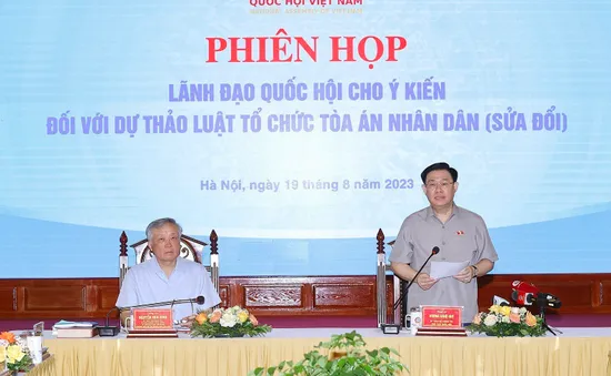 Cho ý kiến về một số nội dung lớn trong dự thảo Luật Tổ chức Tòa án nhân dân (sửa đổi)