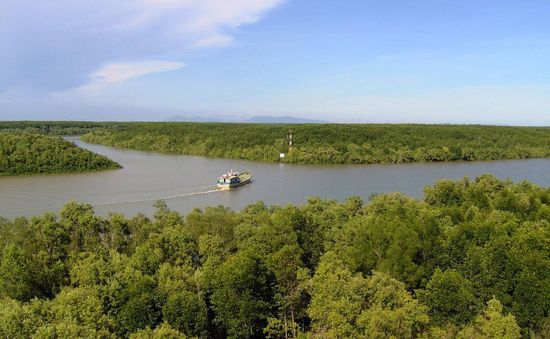 TP Hồ Chí Minh: Đề cử rừng phòng hộ Cần Giờ thành khu Ramsar