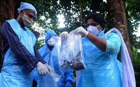 Ấn Độ trong cuộc đua ngăn chặn dịch bệnh do virus Nipah gây thương tổn não