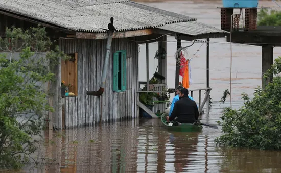 Mưa bão ở Brazil: Số người tử vong tăng lên 31, hàng nghìn người mất nhà cửa