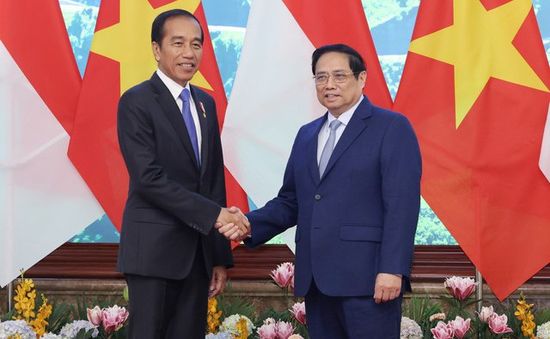 Đưa kim ngạch thương mại song phương Việt Nam - Indonesia lên 18 tỷ USD trước năm 2028