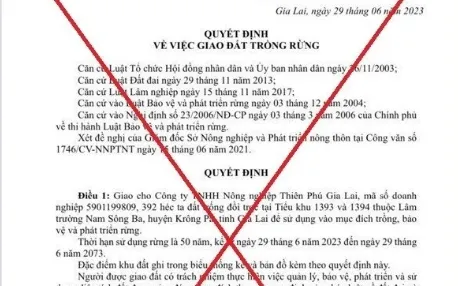 Vụ giả mạo Quyết định Chủ tịch tỉnh Gia Lai: Người làm giả là em của một Giám đốc