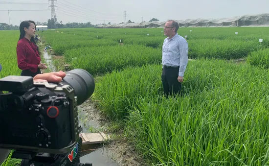 "Con đường nông sản" - chương trình đặc biệt Tết Nguyên đán đã sẵn sàng đến với khán giả