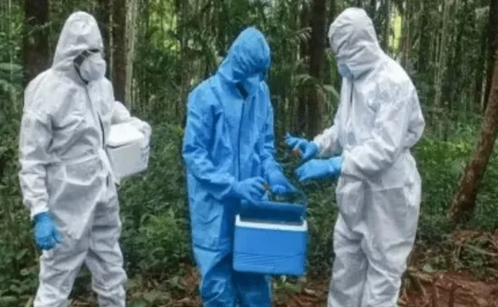 Bangladesh báo cáo ca tử vong đầu tiên do virus Nipah