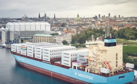 Hãng Maersk tạm dừng hoạt động vận tải qua Biển Đỏ