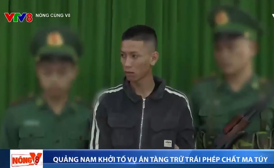 Bộ đội Biên phòng Quảng Nam khởi tố vụ án tàng trữ trái phép chất ma túy