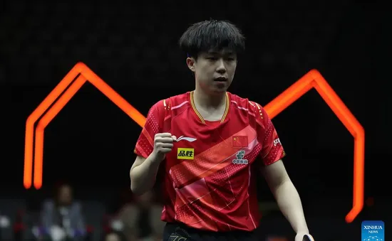 Wang Chuqin vô địch đơn nam giải bóng bàn WTT Finals