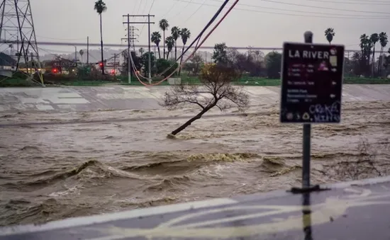 La Nina có thể thay thế El Nino trong năm nay