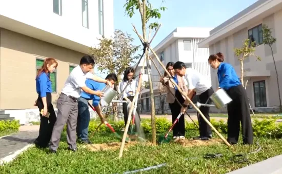 Phú Yên: Phát động Tết trồng cây