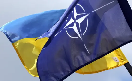 Hà Lan: Ukraine không thể gia nhập NATO khi đang trong xung đột