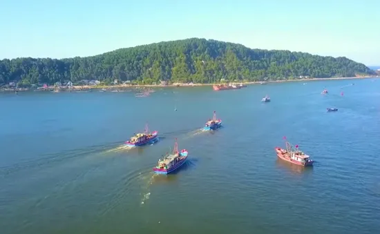 Nghệ An: Ngư dân phấn khởi vươn khơi đầu năm