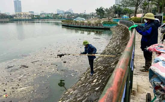 Hà Nội: Cá chết hàng loạt ở hồ Công viên Thiên văn học