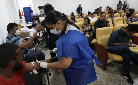 Dịch sốt xuất huyết bùng phát tại Brazil