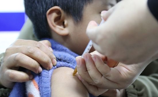 TP. Hồ Chí Minh đảm bảo nguồn vaccine phòng dại