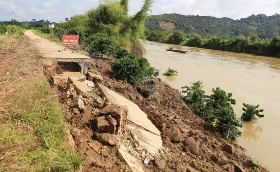 Tìm nguyên nhân sạt lở bờ sông Krông Nô