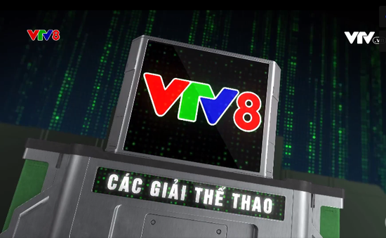 Các Giải thể thao tranh Cup VTV8 trong năm 2024 - Điểm hẹn của những người yêu thể thao toàn quốc