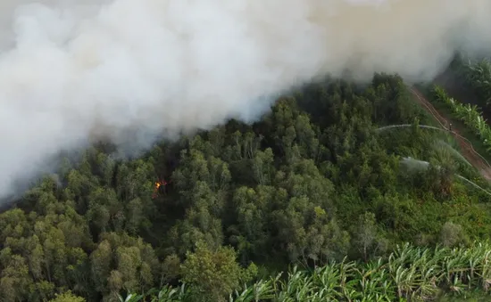 Cháy rừng tại Cà Mau, 40 ha bị thiêu rụi