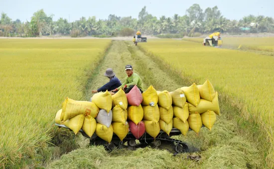 Giảm phát thải từ sử dụng phân bón đúng