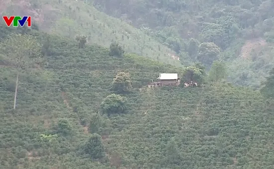 Điện Biên quyết tâm xoá bỏ hoàn toàn huyện nghèo