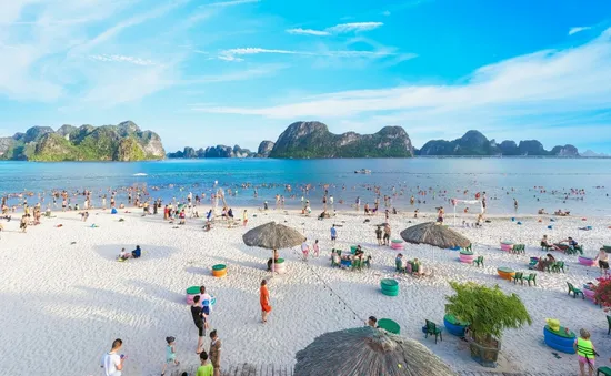 Biểu diễn xiếc đường phố vào ngày 29 và 30/4 tại TP Cẩm Phả