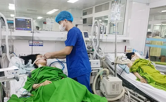 Hai chị em bị ngộ độc do ăn nhầm lá ngón