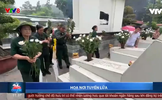 Hoa nơi tuyến lửa