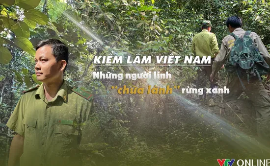 Kiểm lâm Việt Nam: Những người lính thầm lặng “chữa lành” rừng xanh